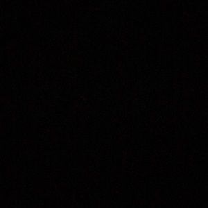 Meet your Posher, Misty